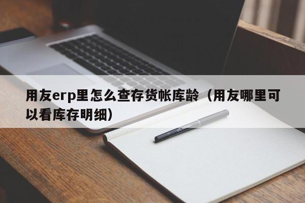 用友erp里怎么查存货帐库龄（用友哪里可以看库存明细）