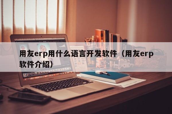 用友erp用什么语言开发软件（用友erp软件介绍）