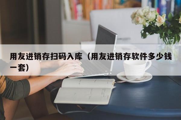 用友进销存扫码入库（用友进销存软件多少钱一套）