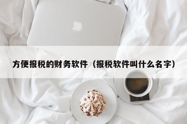 方便报税的财务软件（报税软件叫什么名字）