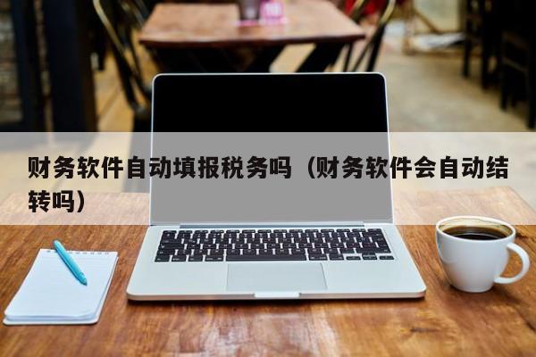 财务软件自动填报税务吗（财务软件会自动结转吗）