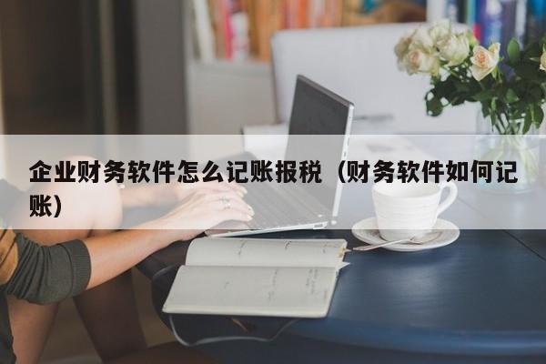 企业财务软件怎么记账报税（财务软件如何记账）