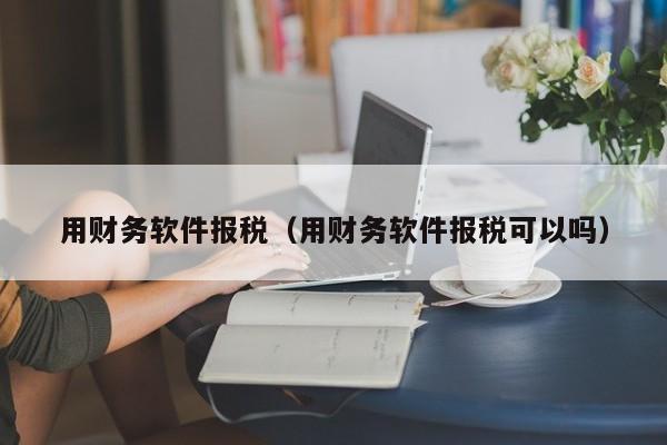 用财务软件报税（用财务软件报税可以吗）