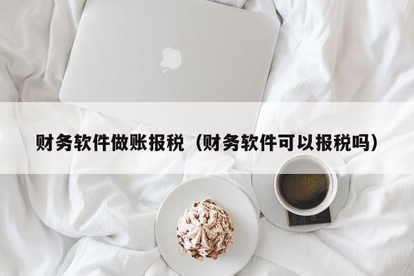 财务软件做账报税（财务软件可以报税吗）