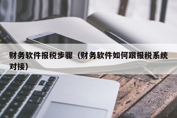 财务软件报税步骤（财务软件如何跟报税系统对接）