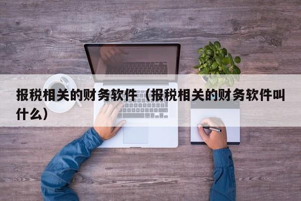 报税相关的财务软件（报税相关的财务软件叫什么）