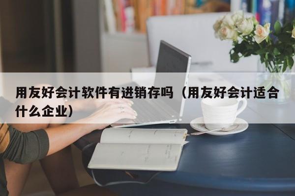 用友好会计软件有进销存吗（用友好会计适合什么企业）