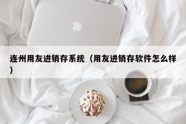 连州用友进销存系统（用友进销存软件怎么样）