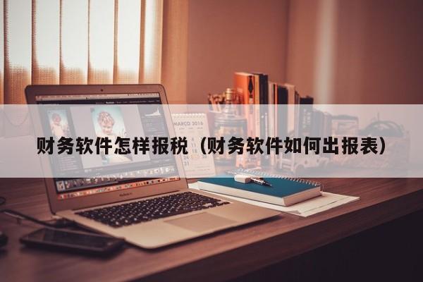 财务软件怎样报税（财务软件如何出报表）