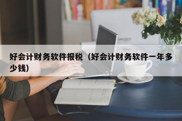 好会计财务软件报税（好会计财务软件一年多少钱）