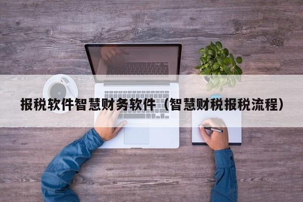 报税软件智慧财务软件（智慧财税报税流程）