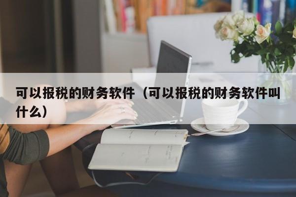 可以报税的财务软件（可以报税的财务软件叫什么）