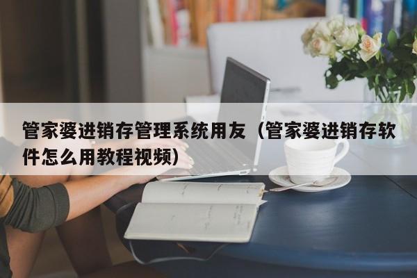 管家婆进销存管理系统用友（管家婆进销存软件怎么用教程视频）