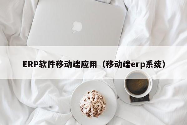 ERP软件移动端应用（移动端erp系统）