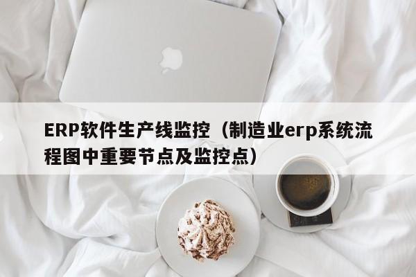 ERP软件生产线监控（制造业erp系统流程图中重要节点及监控点）