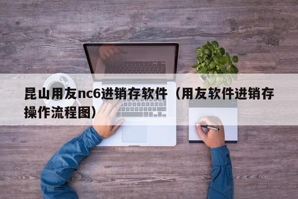 昆山用友nc6进销存软件（用友软件进销存操作流程图）