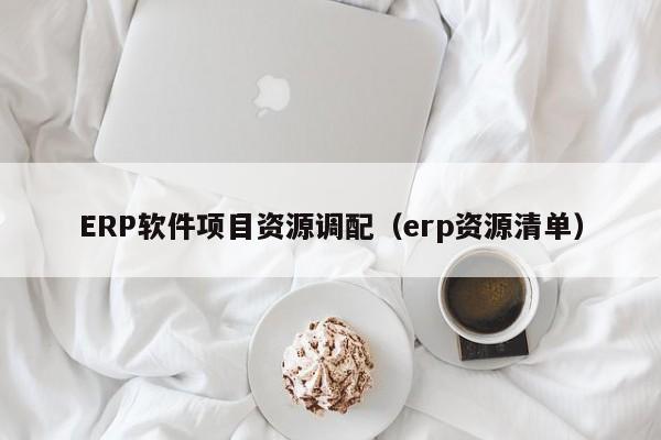 ERP软件项目资源调配（erp资源清单）