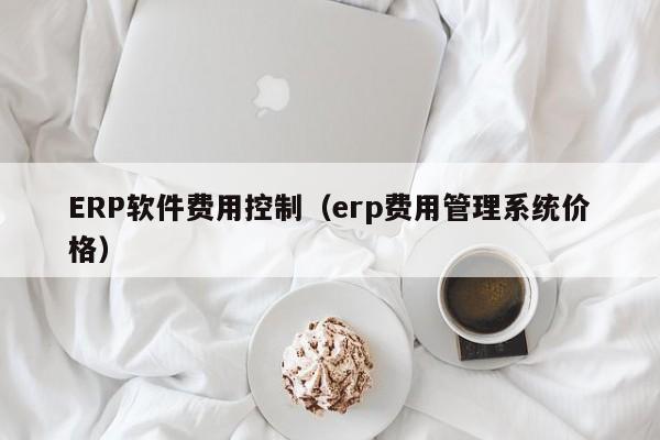 ERP软件费用控制（erp费用管理系统价格）