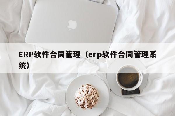 ERP软件合同管理（erp软件合同管理系统）