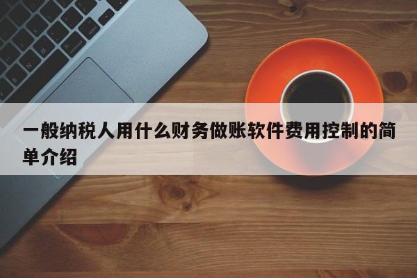 一般纳税人用什么财务做账软件费用控制的简单介绍