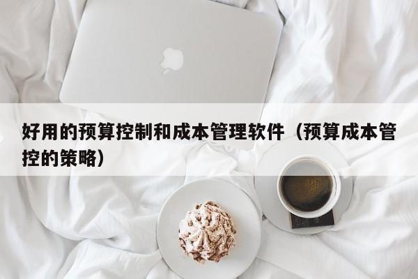 好用的预算控制和成本管理软件（预算成本管控的策略）