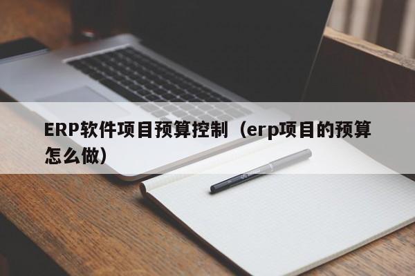 ERP软件项目预算控制（erp项目的预算怎么做）