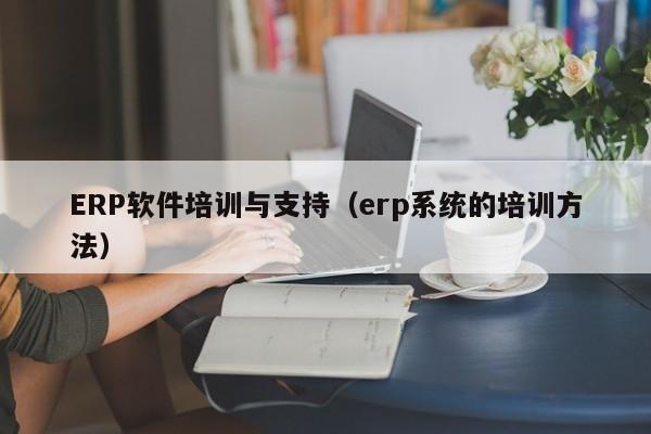 ERP软件培训与支持（erp系统的培训方法）