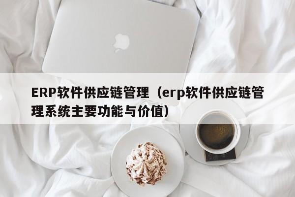 ERP软件供应链管理（erp软件供应链管理系统主要功能与价值）