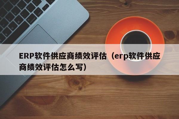 ERP软件供应商绩效评估（erp软件供应商绩效评估怎么写）