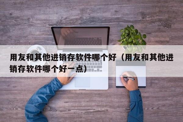 用友和其他进销存软件哪个好（用友和其他进销存软件哪个好一点）