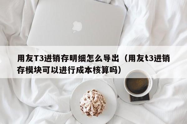 用友T3进销存明细怎么导出（用友t3进销存模块可以进行成本核算吗）