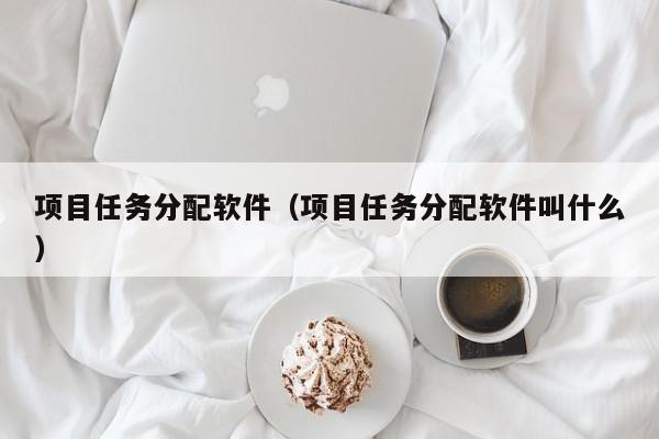 项目任务分配软件（项目任务分配软件叫什么）