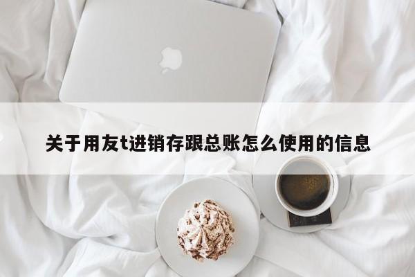 关于用友t进销存跟总账怎么使用的信息