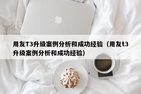 用友T3升级案例分析和成功经验（用友t3升级案例分析和成功经验）