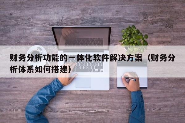 财务分析功能的一体化软件解决方案（财务分析体系如何搭建）