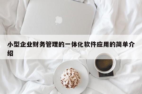 小型企业财务管理的一体化软件应用的简单介绍