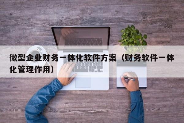 微型企业财务一体化软件方案（财务软件一体化管理作用）