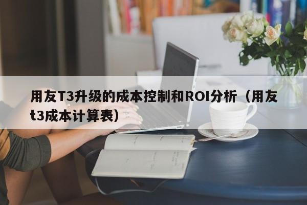 用友T3升级的成本控制和ROI分析（用友t3成本计算表）