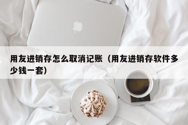 用友进销存怎么取消记账（用友进销存软件多少钱一套）