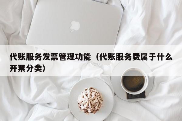 代账服务发票管理功能（代账服务费属于什么开票分类）