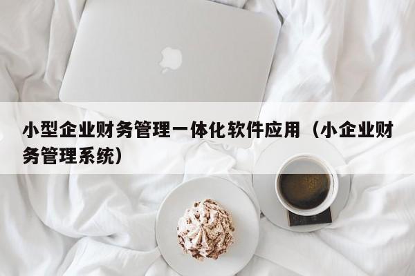 小型企业财务管理一体化软件应用（小企业财务管理系统）