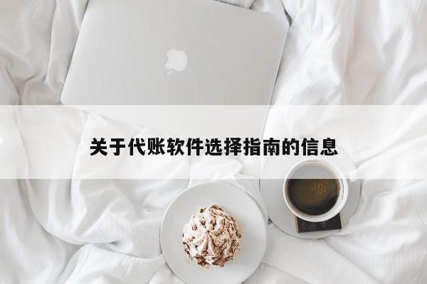 关于代账软件选择指南的信息