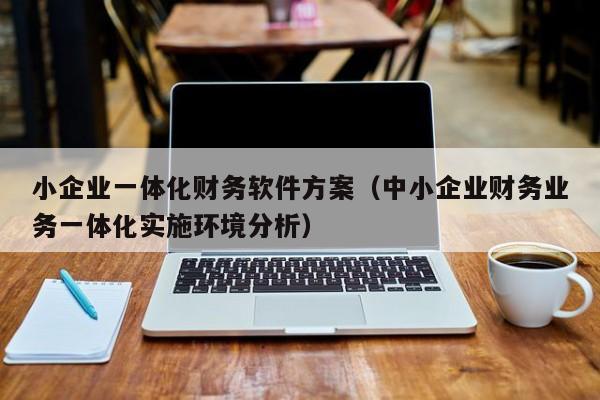 小企业一体化财务软件方案（中小企业财务业务一体化实施环境分析）