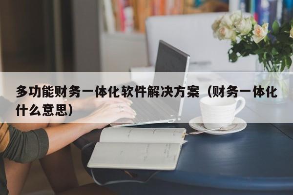 多功能财务一体化软件解决方案（财务一体化什么意思）