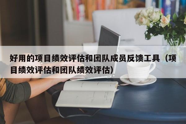 好用的项目绩效评估和团队成员反馈工具（项目绩效评估和团队绩效评估）