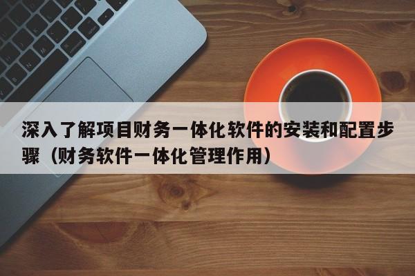 深入了解项目财务一体化软件的安装和配置步骤（财务软件一体化管理作用）