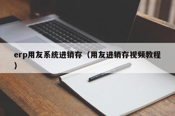 erp用友系统进销存（用友进销存视频教程）