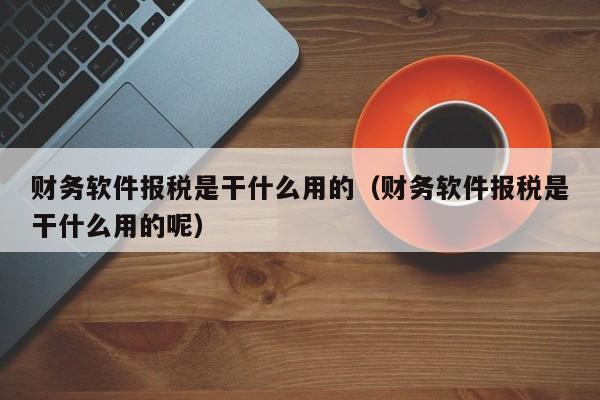 财务软件报税是干什么用的（财务软件报税是干什么用的呢）