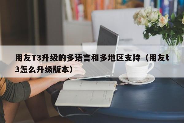 用友T3升级的多语言和多地区支持（用友t3怎么升级版本）