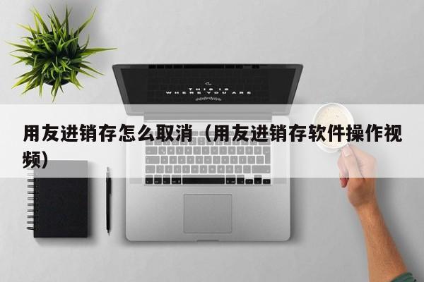 用友进销存怎么取消（用友进销存软件操作视频）